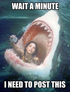 shark selfie