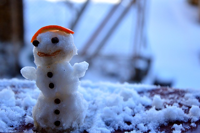 Mini snowman.