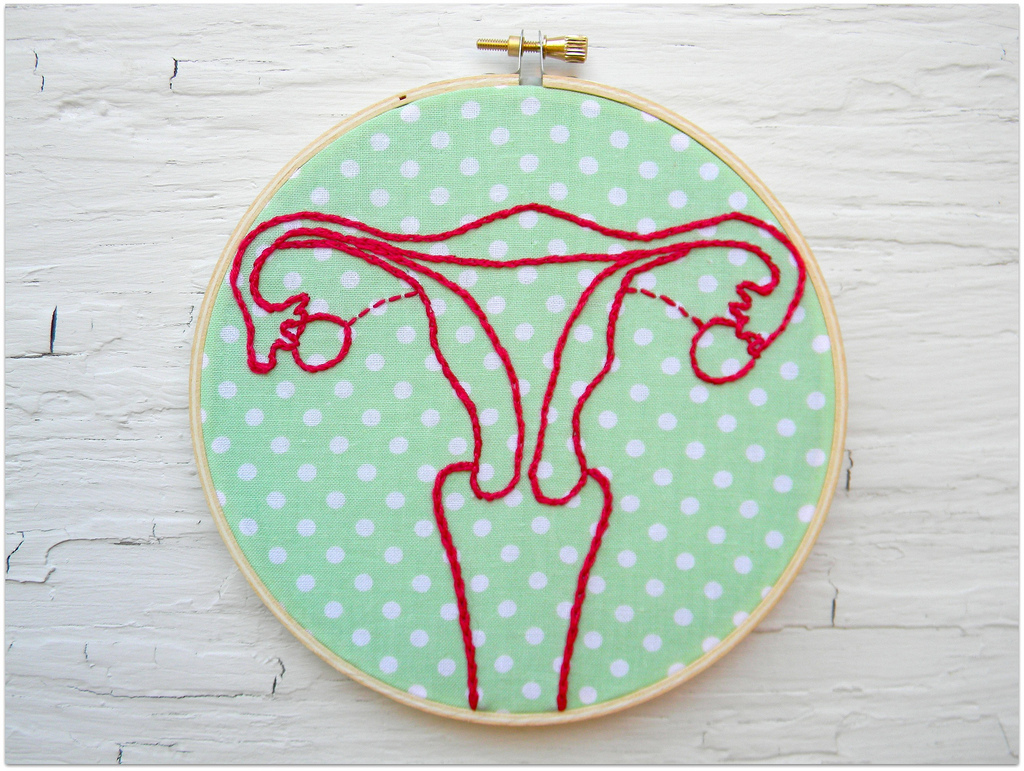 Uterus and ovaries embroidered on a piece of cloth.